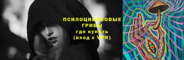Альфа ПВП Алзамай
