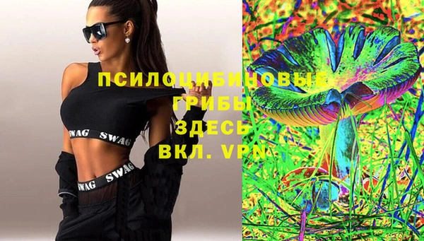 Альфа ПВП Алзамай